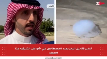 تحذير قناديل البحر يهدد المصطافين على شواطئ الشرقية هذا الصيف